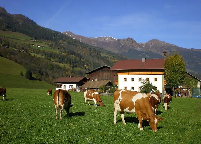Stubnerbauer