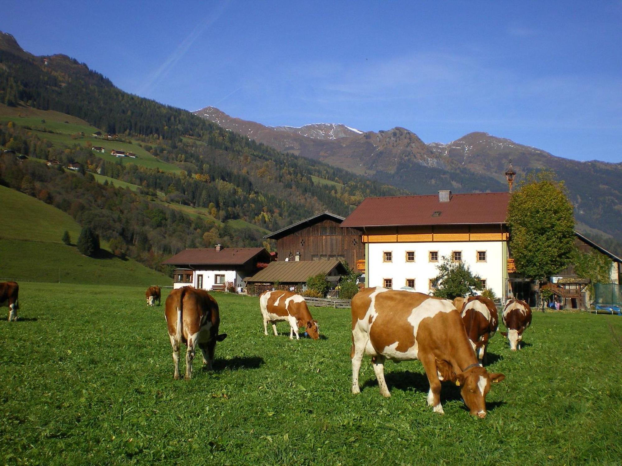 Farm stay Stubnerbauer