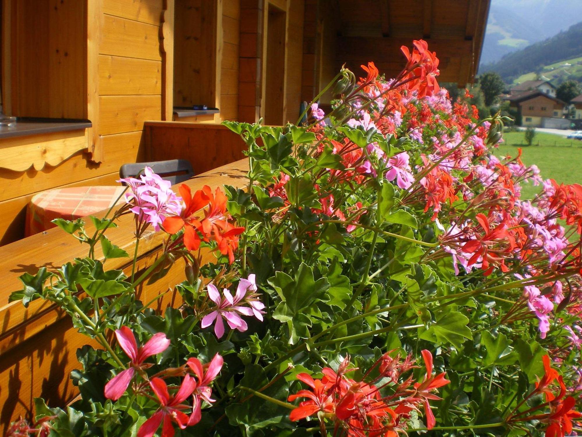Stubnerbauer Farm stay