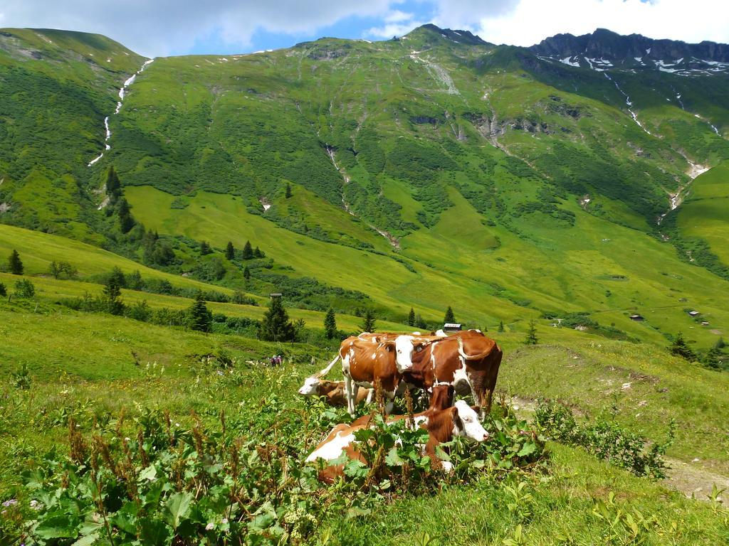 Stubnerbauer * Bad Hofgastein