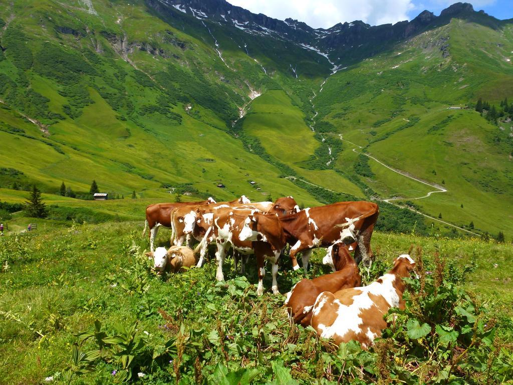 Farm stay Stubnerbauer