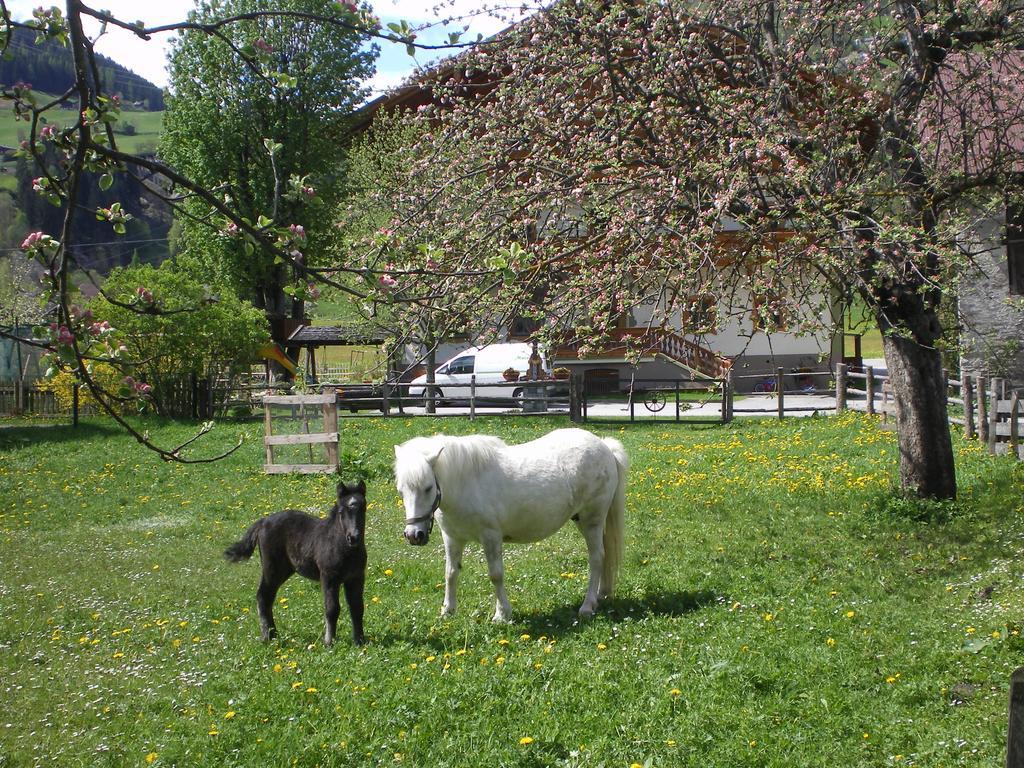 Stubnerbauer Farm stay Bad Hofgastein