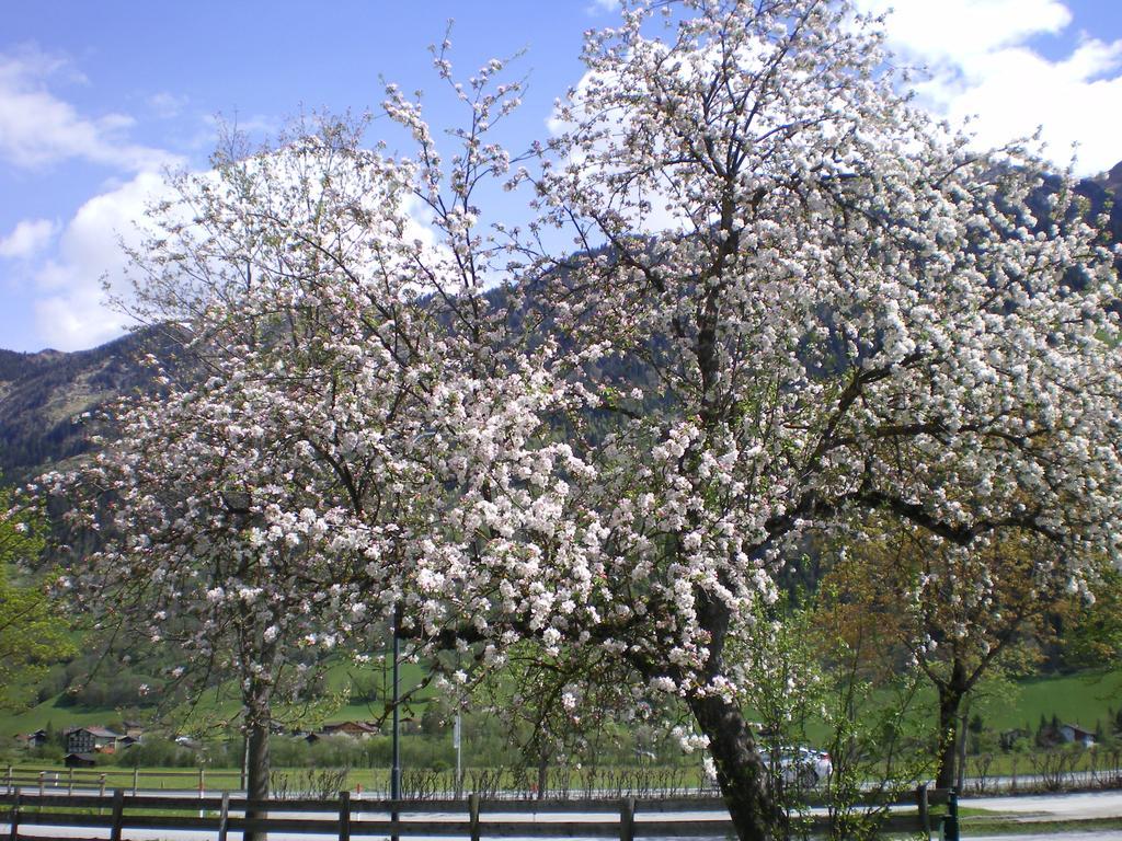 Farm stay Stubnerbauer *