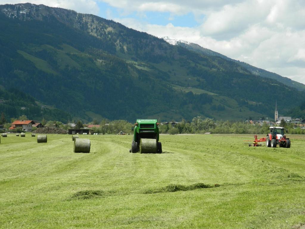 Stubnerbauer Farm stay Bad Hofgastein