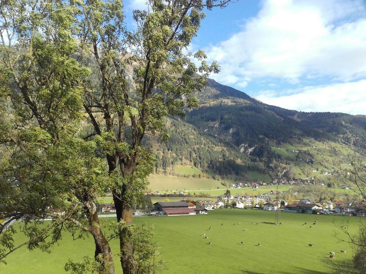 Stubnerbauer Farm stay Bad Hofgastein