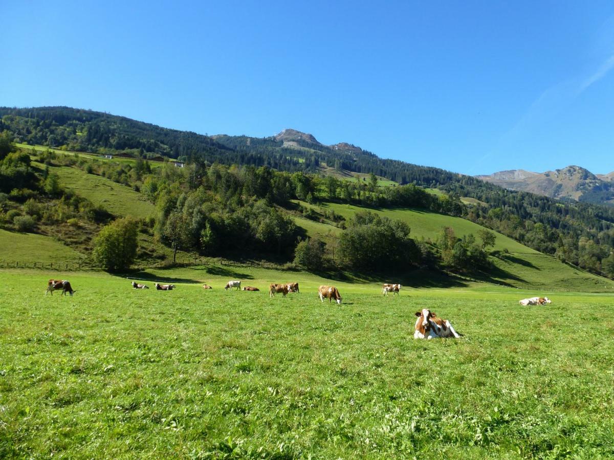 Farm stay Stubnerbauer *